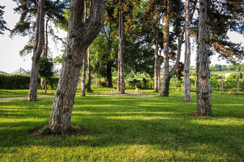 Belvivere Suites Sona Esterno foto